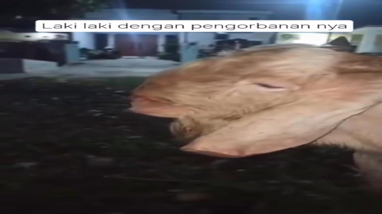 Playlist Image