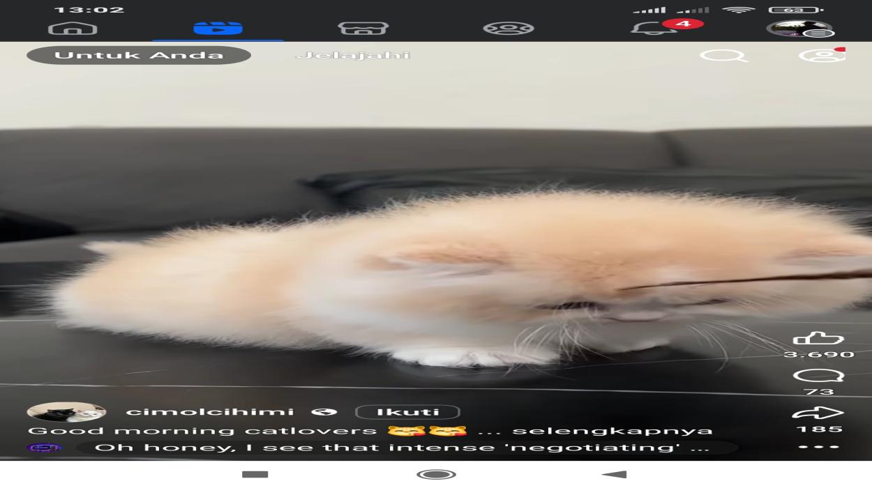 Playlist Image