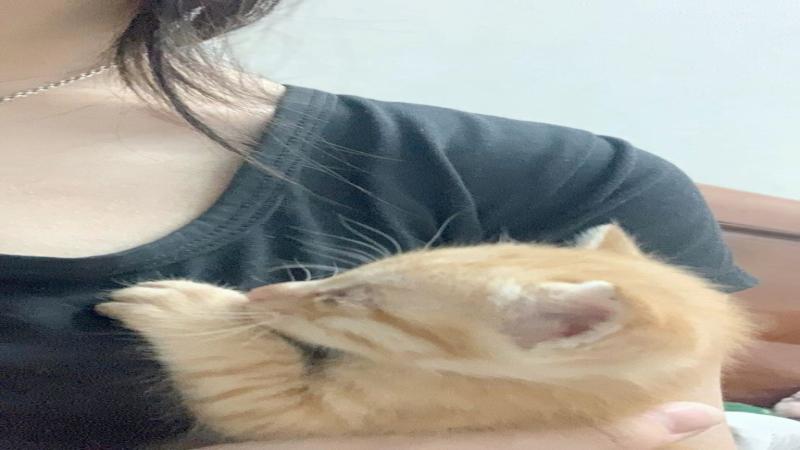 Video Thumb