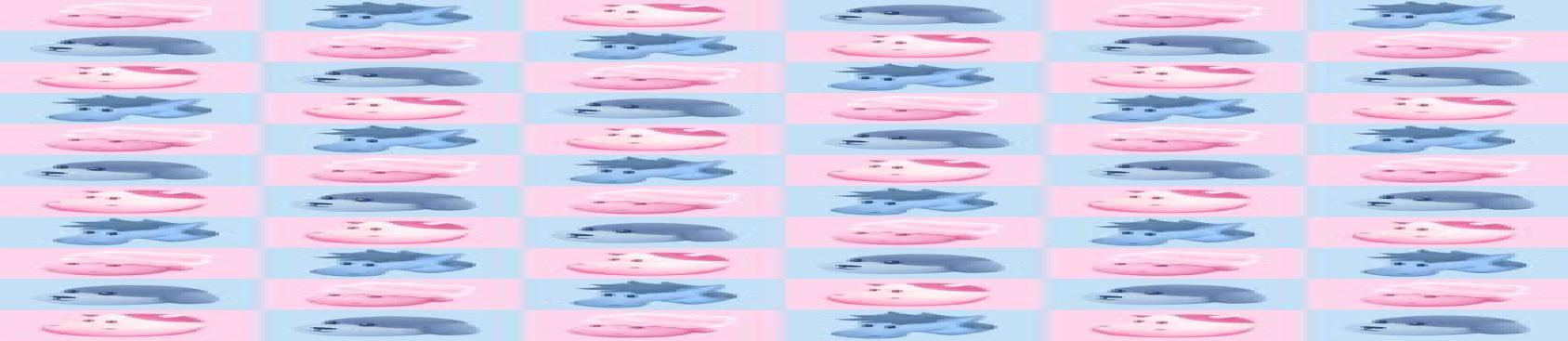 Channel Cover Photo